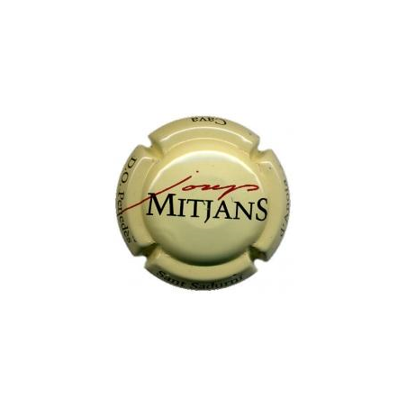Josep Mitjans X-13104 V-1817