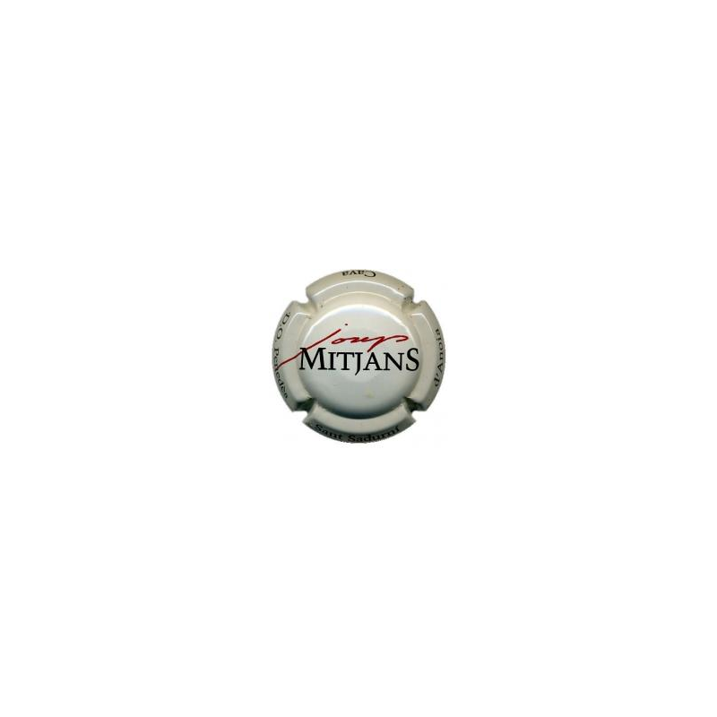 Josep Mitjans X-13356 V-1821