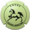 Juan Mestre X-23424 V-10814