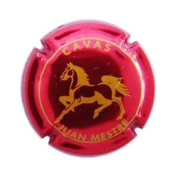 Juan Mestre X-37382 V-11892