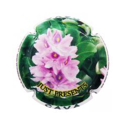 Just Presents X-120990