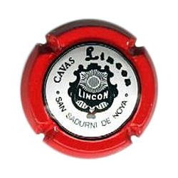 Lincon X-3119 V-1022