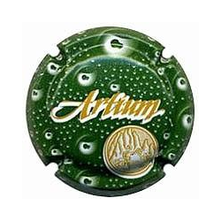 Artium X-107272