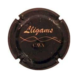 Lligams X-90774