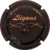 Lligams X-90774
