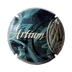 Artium X-13354 V-11166