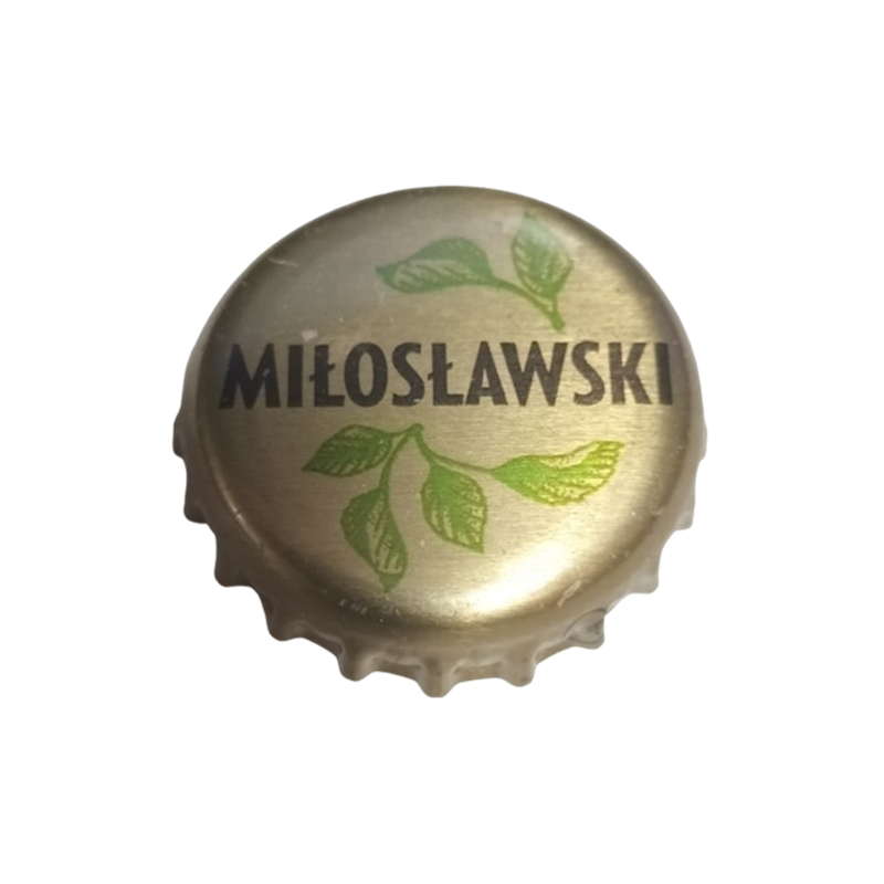 POLONIA (PL)   Cerveza Browar Fortuna