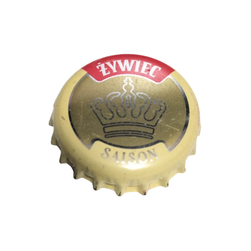 POLONIA (PL)  Cerveza Zywiec 40028026