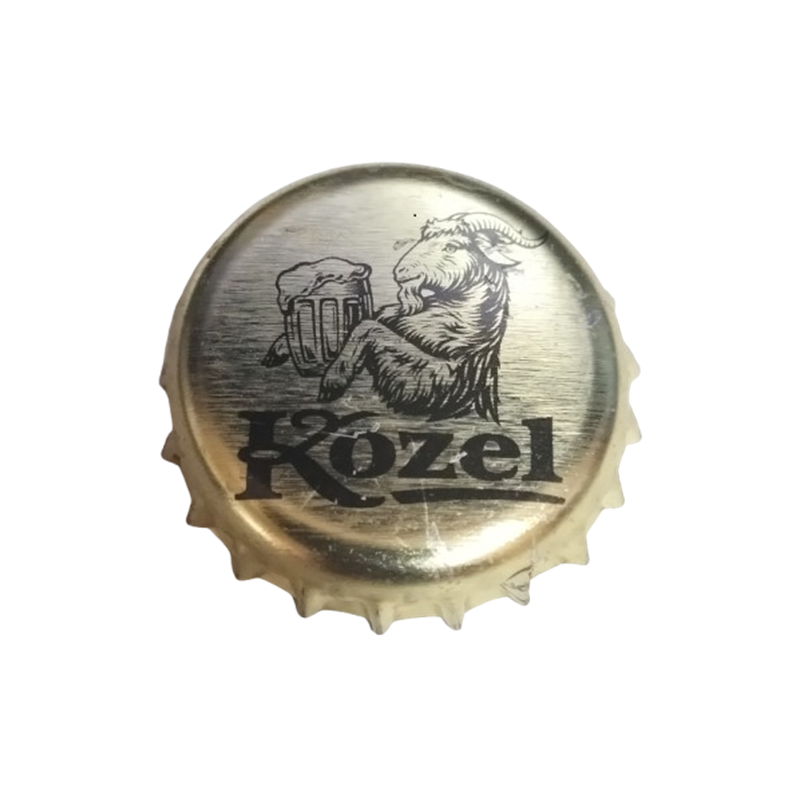 ITALIA (IT)   Cerveza Birra Peroni S.p.A.