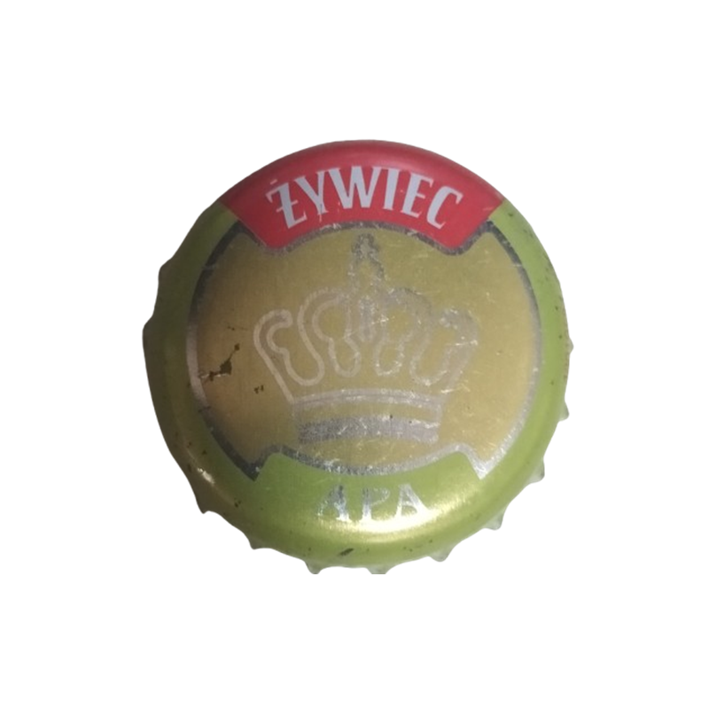 POLONIA (PL)  Cerveza Bracki Browar Zamkowy -40019584