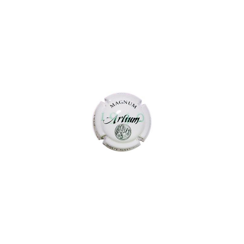 Artium X-4638 V-2891