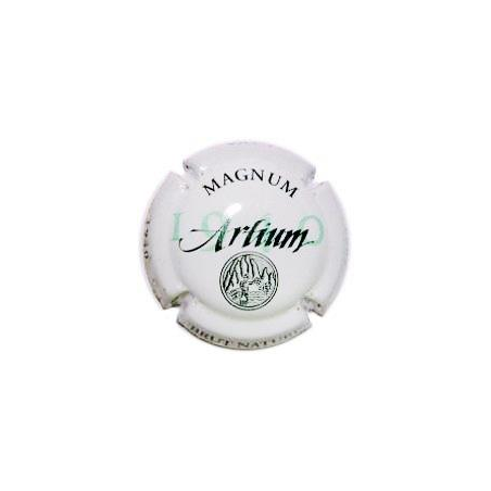 Artium X-4638 V-2891