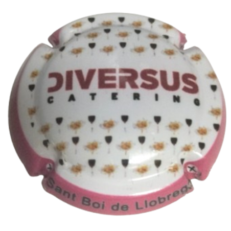 (0064) Restaurante  Catering Diversus (Sant Boi de Llobregat)