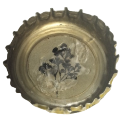 ESTADOS UNIDOS (US)  Soda Q Tonic LLC