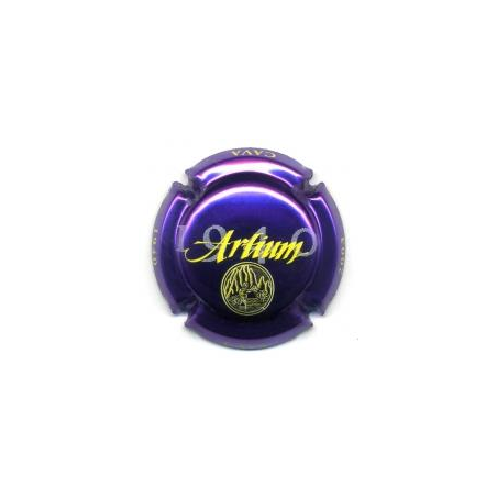 Artium X-6537 V-2890