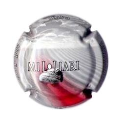 Mil·liari X-39499 V-12977