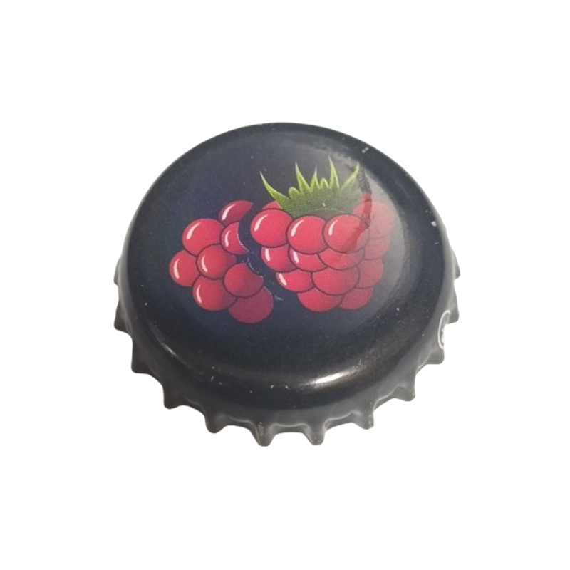 BÉLGICA (BE)  Cerveza Brouwerij Bockor