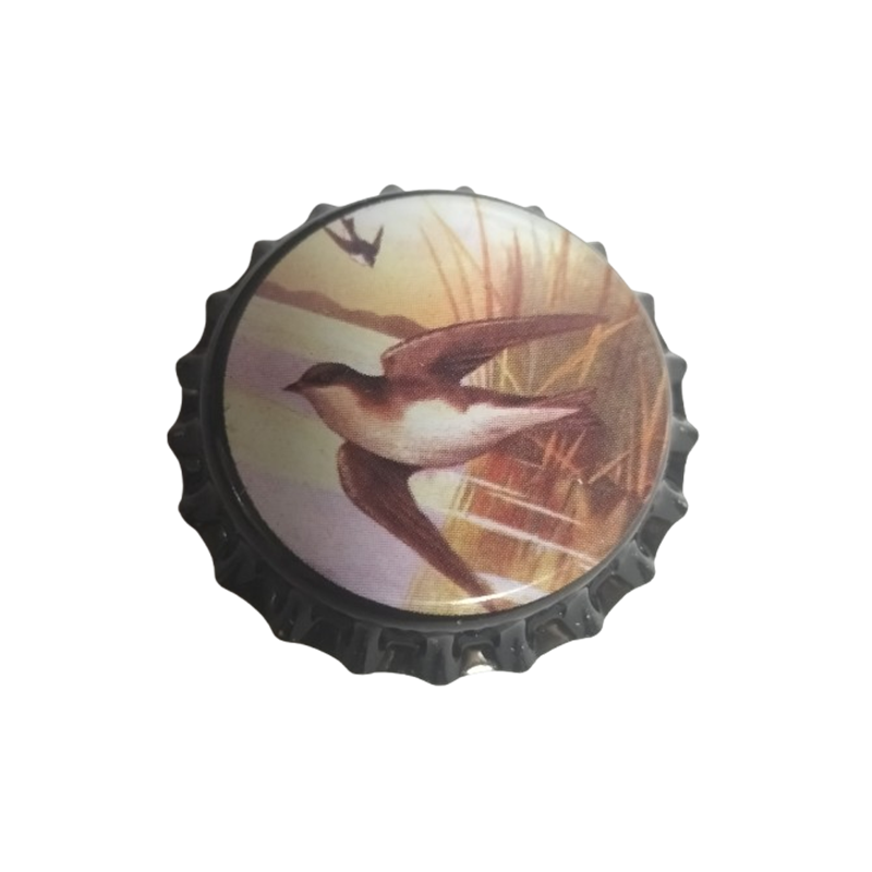 ESTADOS UNIDOS (US)  Otros Pelliconi Florida LLC No usado para embotellar--Sin usar