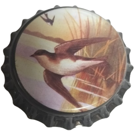 ESTADOS UNIDOS (US)  Otros Pelliconi Florida LLC No usado para embotellar--Sin usar