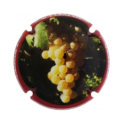 Olivella i Bonet S.A. X-165020