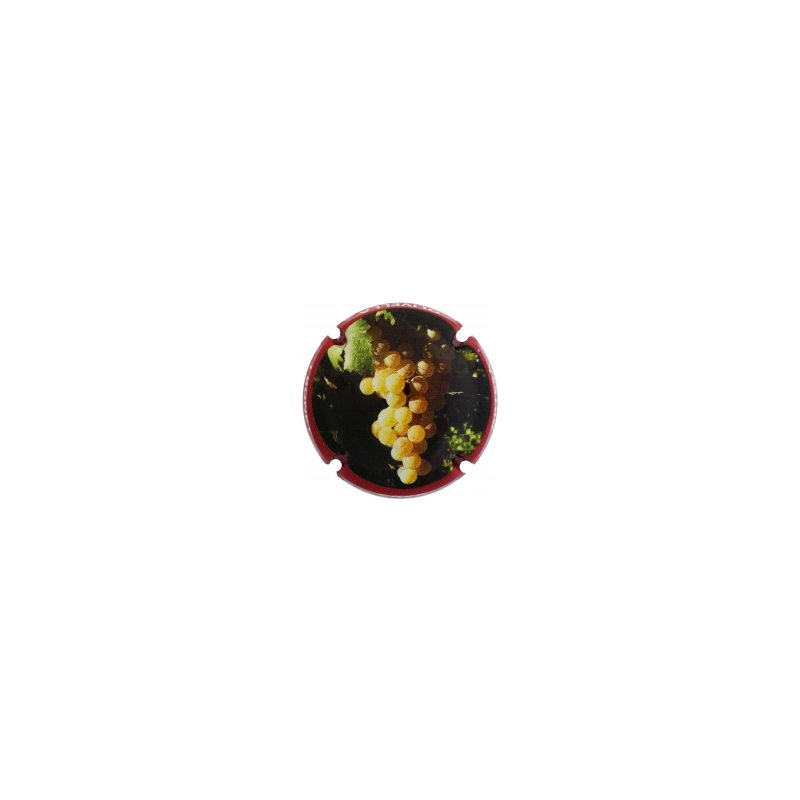 Olivella i Bonet S.A. X-165020