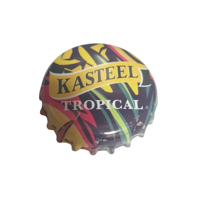 BÉLGICA (BE)  Cerveza Brouwerij Van Honsebrouck