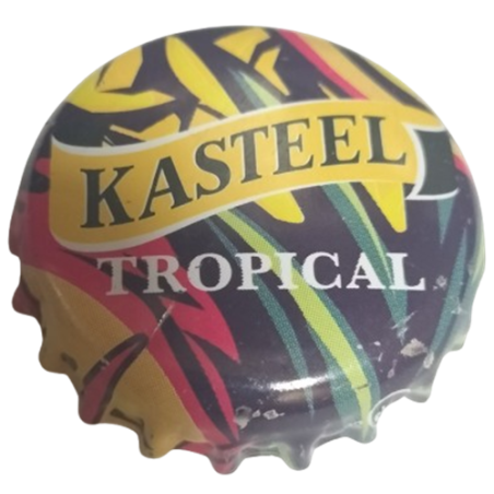 BÉLGICA (BE)  Cerveza Brouwerij Van Honsebrouck