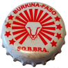 BURKINA FASO (BF)  Cerveza Brakina (BGI) - Brasseries du Burkina-Faso--LP