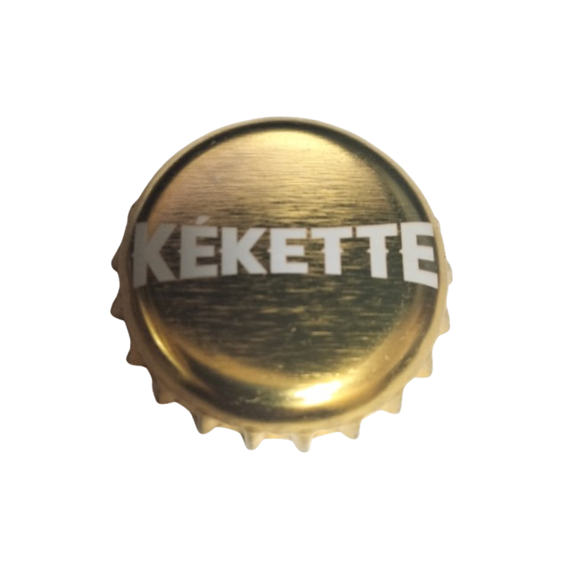 FRANCIA (FR)   Cerveza Brasseurs de Gayant