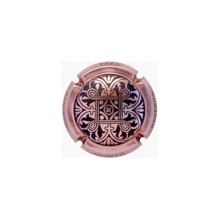 Avinyó X-159768