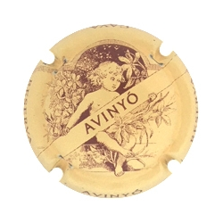 Avinyó X-162902