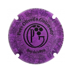 Pere Olivella Galimany...