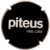 Piteus  X-151781