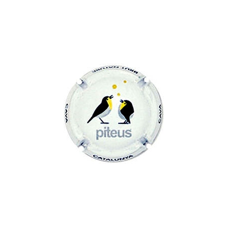 Piteus X-97071