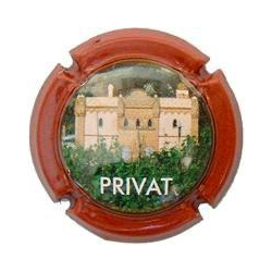 Privat X-13113 V-6471