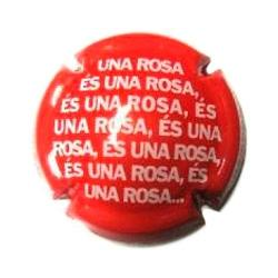 Roger Goulart X-49467 V-15955