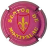 Senyor de Mont-Palau X-98833