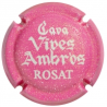 Vives Ambròs - Aida de X-150221