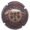 Xavier Tous Font X-1571 V-3847