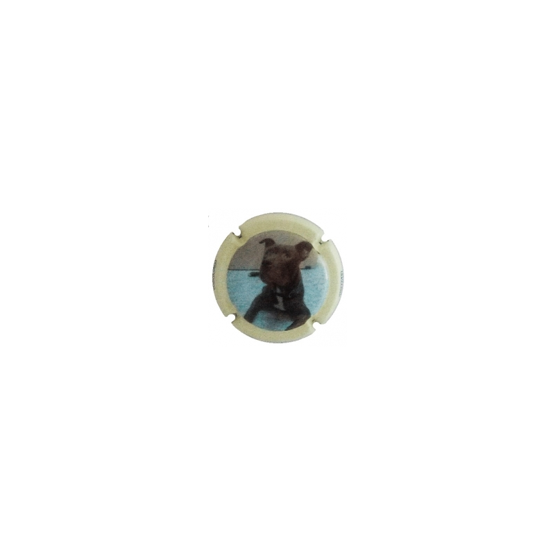 Xic d'Alfons X-147493