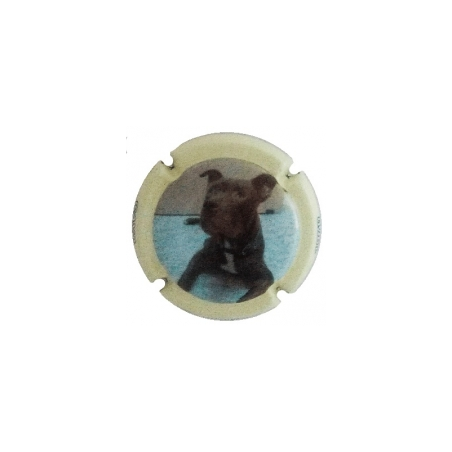 Xic d'Alfons X-147493