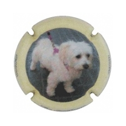 Xic d'Alfons X-148717