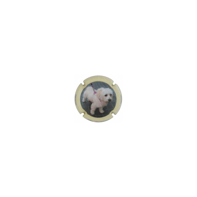 Xic d'Alfons X-148717