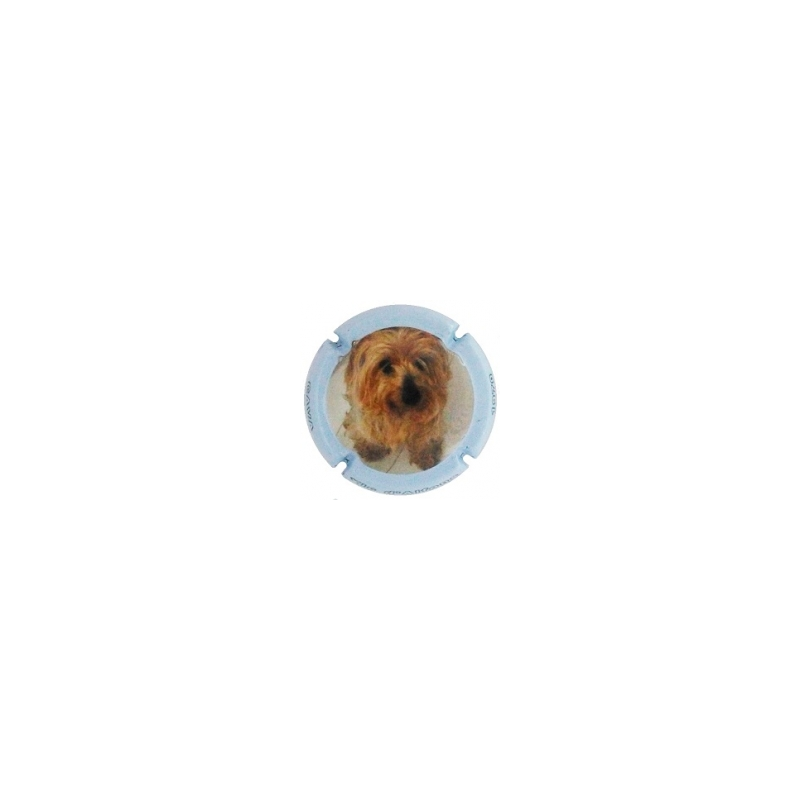 Xic d'Alfons X-152287