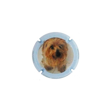Xic d'Alfons X-152287