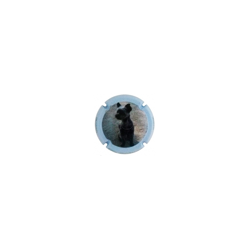 Xic d'Alfons X-152590