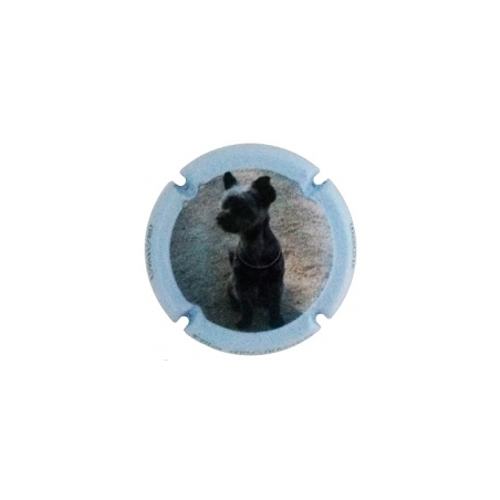 Xic d'Alfons X-152590
