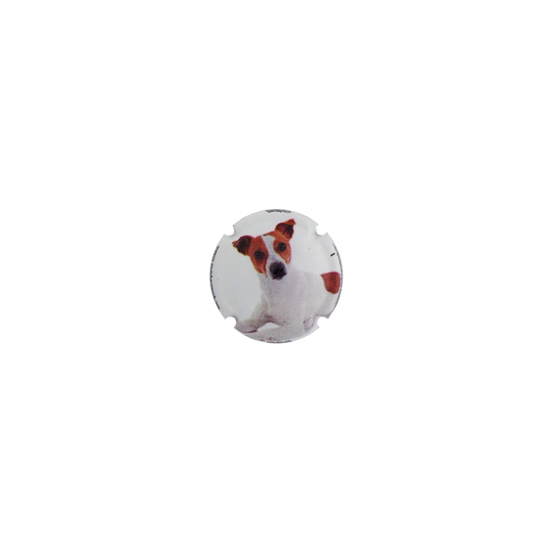 Xic d'Alfons X-159341