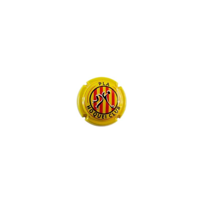 Associacions i clubs X-25892--Pla Hoquei Club.