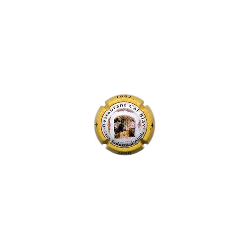 Commemoratives X-11735--Placa color amarillo.